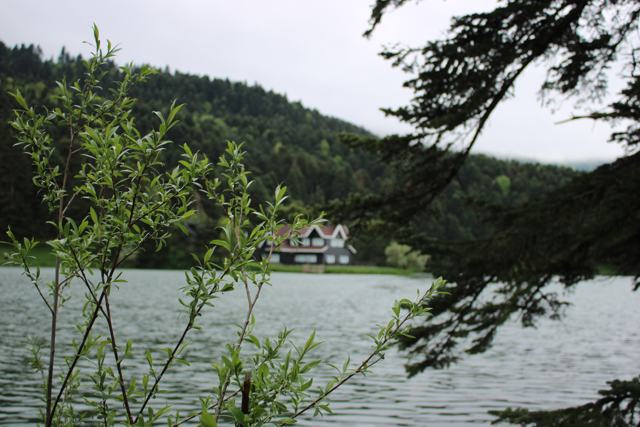 Bolu fotoğrafı